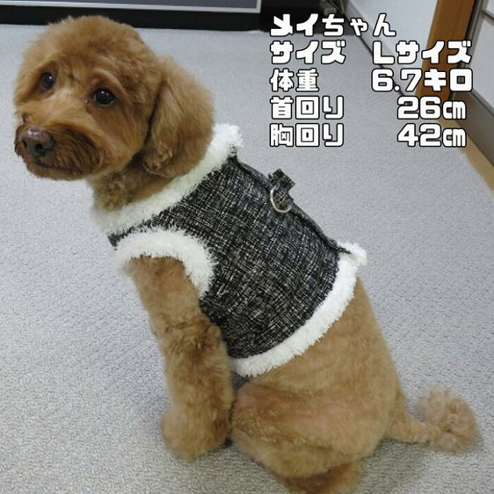 楽天市場 クーポン配布中 小型犬 犬 ハーネス 春 おしゃれ フォーマル かっこいい 胴輪 ゴージャス ボディー ボタン留め 背中開き D字リング グレー 白 サイズ リード付き セレブ Doggydolly Dcl142 チワワ ヨークシャテリア ポメラニアン トイプードル 犬服