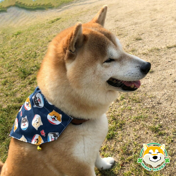 楽天市場 本日ポイント11倍 中型犬 大型犬 服 スカーフ 鈴付き 長さ調節可能 アクセサリー おしゃれ 柴 豆しば バンダナ カチッと簡単留め ワンタッチ 合成皮革の紐 取付け簡単 赤 白 可愛い アクセサリー 雑貨 柴犬 パグ フレンチブル レトリバー シェパード 犬服