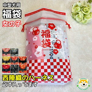 y ^p z  Iׂ鐼wDn[lX ̎q  hX2_ v3_ hbOEFA ̎q 2026 yݑ nbsBobO ܂Č[tL[z_[ AE^[  ybg 