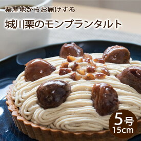 和栗のモンブランタルト 誕生日ケーキ 予約 送料無料 インスタ映え 大人 子供 サプライズケーキ かわいい 面白い 誕生日プレゼント ホールケーキ タルト 栗 マロンたっぷり 冷凍 解凍3時間　お中元