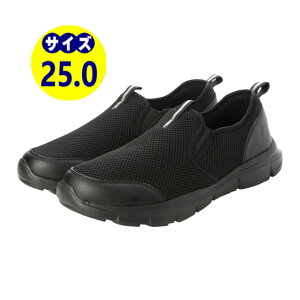 25.0cm ubN [ 14܂Œo ] Y Xb| Xj[J[ ^C XN[V[Y EH[LOV[Y ƌC i U y 3E L bVf ubN  25.0cm e