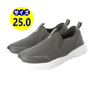 25.0cm O[ [ 14܂Œo ] Y Xb| Xj[J[ ^C XN[V[Y EH[LOV[Y ƌC i U y 3E L bVf O[ 25.0cm em_24250