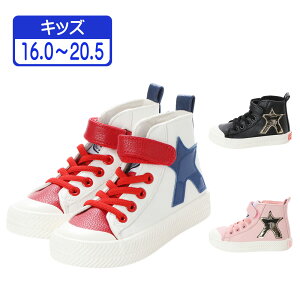 LbY JWA Xj[J[ ǂ ^Cv ʃt@Xi[xgt qp   zCg  ubN sN 16.0cm - 20.5cm JW808