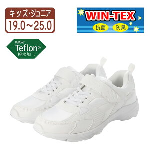 24.0cm zCg y14܂ŒoׁzLbY WjAp Xj[J[ qp ^C ʊwC XN[V[Y jOV[Y etH RۖhL 3DC\[ y h 