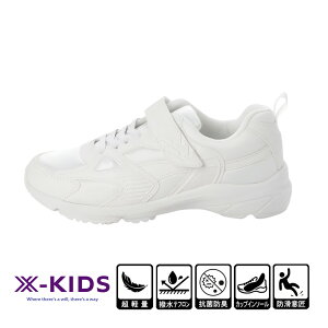 LbY WjAp Xj[J[ qp ^C ʊwC XN[V[Y jOV[Y etH RۖhL 3DC\[ y h  ubN  zCg 19.0 ` 25.0cm xk_24