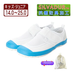 21.5cm u[ p V[YobOv[g 㗚 C XN[V[Y ̈كV[Y J[o[ xN }WbNe[v bV R hL ʋC NbV h S 3E 