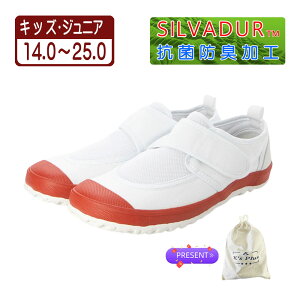20.0cm bh p V[YobOv[g 㗚 C XN[V[Y ̈كV[Y J[o[ xN }WbNe[v bV R hL ʋC NbV h S 3E 