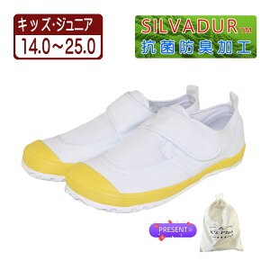 24.5cm CG[ p V[YobOv[g 㗚 C XN[V[Y ̈كV[Y J[o[ xN }WbNe[v bV R hL ʋC NbV h S 3