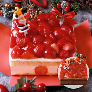  NX}XP[L 2025 \  V[gP[L C`S   P[L `R `R[g V[gP[L 4 2l 3l 4l fR[VP[L t[cP[L fU[g lC