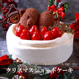 クリスマスケーキ 予約 2025 送料無料 4号 約12cm ( 2人 ～4人) 5号 約15cm ( 4人 ～6人) Xmasケーキ イチゴ ケーキ 苺 いちご ショートケーキ くま ケーキ フルーツケーキ クリスマスプレゼント 子供 大人 パーティー デザート クリスマス ケーキ お取り寄せケーキ 冷凍配送
