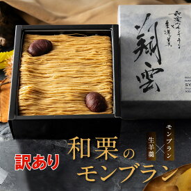 訳あり スイーツ 和菓子 おしゃれ モンブラン ケーキ 送料無料 和栗 モンブラン 生羊羹 栗 くり 羊羹 お取り寄せ お菓子 あす楽 お買い得 セール 自宅用 ご褒美 欠け