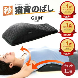 【ポイント10倍】【楽天ランキング1位】GUIN-BACK- グインバック 整体師 専門家 小林篤史先生監修 肩甲骨 はがし グッズ ストレッチ 背中 ポール 背中 伸ばし ヨガポールの代替もOK 肩甲骨はがし 猫背 姿勢 腰 骨盤 背中 腰痛 グッズ 器具 軽量