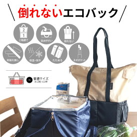 ハコフデェイ エコバッグ 保冷エコバック 折りたたみ レジカゴ 自立 保冷 折りたたみ 保冷バッグ 箱型 自転車かご ショッピング 買い物 荷崩れ防止 入れやすい 詰める前も 詰めた後も 倒れない 通常サイズ Hakohu~Day~
