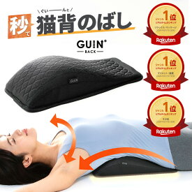 【楽天ランキング1位】GUIN-BACK- グインバック 整体師 専門家 小林篤史先生監修 肩甲骨 はがし グッズ ストレッチ 背中 ポール 背中 伸ばし ヨガポールの代替もOK 肩甲骨はがし 猫背 姿勢 腰 骨盤 背中 腰痛 グッズ 器具 軽量