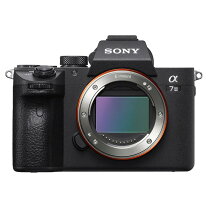楽天市場】sony a7iiの通販