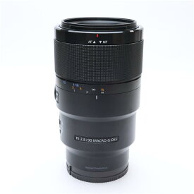 【中古】 《並品》 SONY FE 90mm F2.8 Macro G OSS SEL90M28G [ Lens | 交換レンズ ]