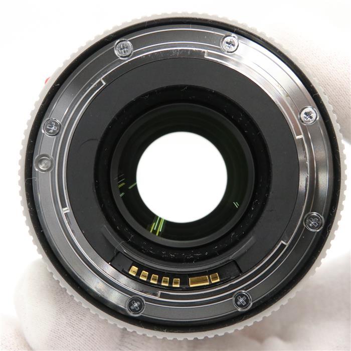☆大人気商品☆ 《美品》 Canon エクステンダー EF2X III <br>[ Lens