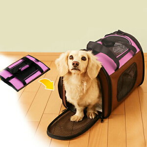 ACX ܂肽݃\tgL[ MTCYsN