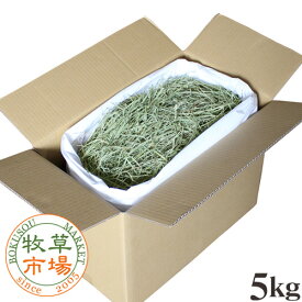 牧草市場 USチモシー2番刈り牧草ソフトタイプ5kg（ソフトチモシー） （うさぎ・モルモットなどの牧草 業務用） 【ymt】