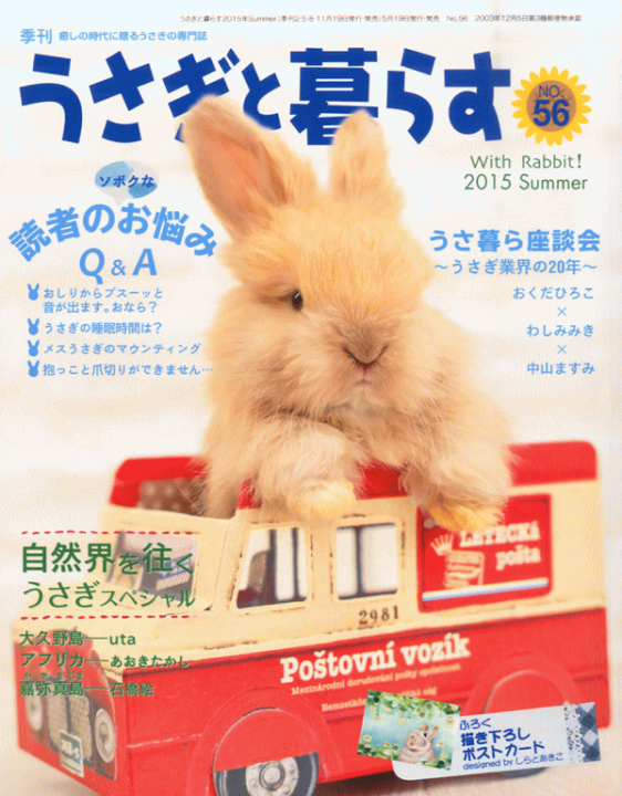 楽天市場】【送料無料】うさぎと暮らす No56号 「うさぎの書籍