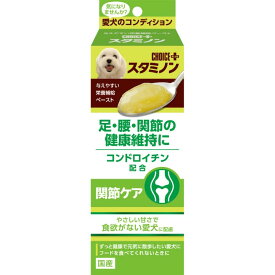 チョイスプラス スタミノン 関節ケア 40g