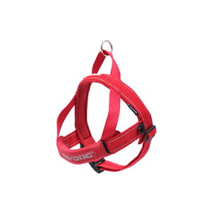 EZYDOGiC[W[hbOj NCbNn[lX bh ^ XL