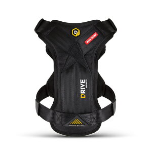 EZYDOGiC[W[hbOj hCun[lX ubN ^`^ M