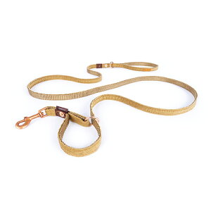 EZYDOGiC[W[hbOj @I4Cg ^`^ R[fC