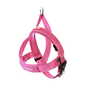 EZYDOGiC[W[hbOjNCbN n[lX ^`^ S sN