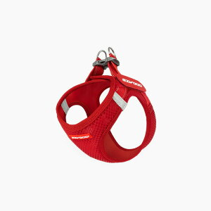 EZYDOGiC[W[hbOjbV tBbg n[lX ^`^ L bh