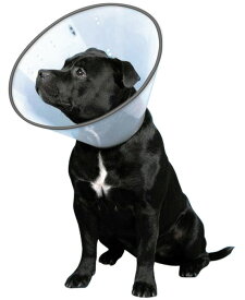 傷口をなめて困る時に VETカラー M クリア 犬 ペット用 介護 手術 ケガ