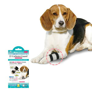 ペットの傷口に触れないようにやさしくガード IV カテーテルガード M 小型犬 中型犬 介護 手術 ケガ【tt】