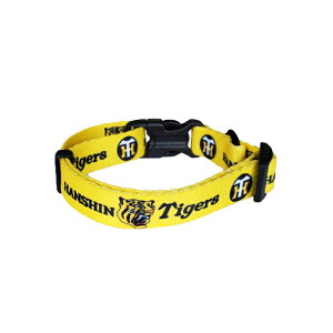 _^CK[XF ^CK[X J[  Lp  Nr  тyttz