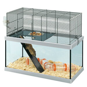 t@[vXg Ku[ GABRY 60 nX^[ XilY~ 2K P[W nEX }EX tZbg p ybgpiyttz