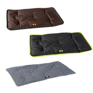 C^AferplastА W[ 100 uE  xbg nEX H J[V[gyttz