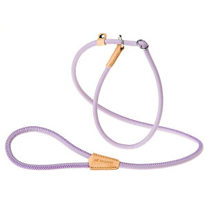 C^AferplastА _[r[ DERBY n[t`[N [h GC10/160 p[v   [ [h ۃObY Upi o UObYyttz