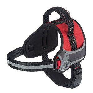 C^AferplastА wNX HERCULES P M n[lX bh ۃObY Upi o UObY 