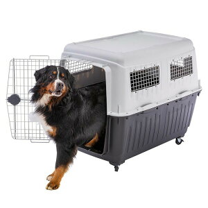C^AferplastА AgX 80 atlas 80 L[ ybgL[  Q[W s@IATAqANA