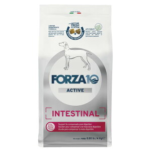 FORZA10�i�t�H���c�@10�j �����p �C���e�X�e�B�i�� �A�N�e�B�u �ݒ��P�A ���� 4kg
