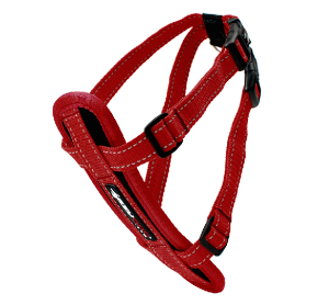 EZYDOGiC[W[hbOj n[lX bhSTCYiC[W[hbOj