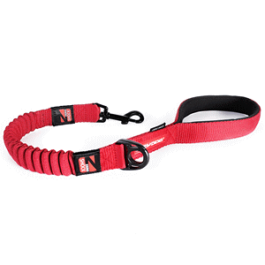 EZYDOGiC[W[hbOj [VbN 64cm bhiC[W[hbOj