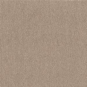  EBYybgtA WPF03 o 40cmp J