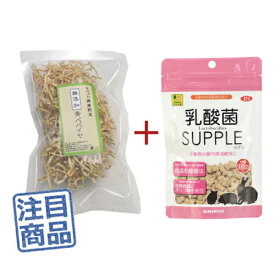 《健康セット》 マペット健康野菜 無添加青パパイヤ30g＋三晃乳酸菌サプリ（お徳用） 100g ◆乾燥野菜◆