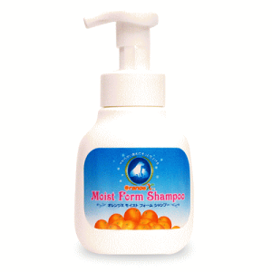 �I�����WX ���C�X�g�t�H�[���V�����v�[ 300ml�i�I�����W�G�b�N�X�j