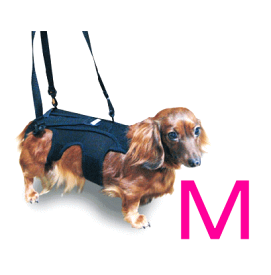 犬用コルセット わんコル 持ち手セット Mサイズ 中型犬用（老犬介護用ハーネス） 【F2-kp】