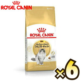 【お得なケース売り】ロイヤルカナン（ROYAL CANIN） ノルウェージャンフォレストキャット FBN 成猫用 生後12ヶ月齢から12歳まで 1ケース（2kg×6個）