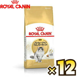 【お得なケース売り】ロイヤルカナン（ROYAL CANIN） ノルウェージャンフォレストキャット FBN 成猫用 生後12ヶ月齢から12歳まで 1ケース（400g×12個）