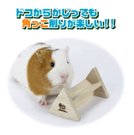 カドっこかじり木（小動物用かじり木）