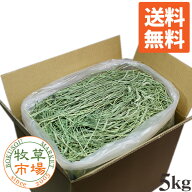 【送料無料】◆令和7年度産新刈り◆牧草市場 スーパープレミアムチモシー1番刈り牧草5kg（うさぎ・モルモ…