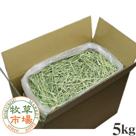牧草市場 USチモシー1番刈り（特選プレミアム） 牧草 ダブルプレス 5kg袋入（うさぎ・モルモットなどの牧草 業務用） 【ymt】